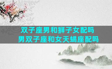 双子座男和狮子女配吗 男双子座和女天蝎座配吗